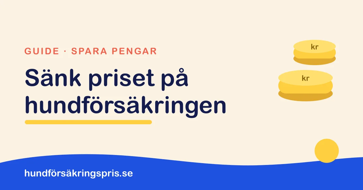 Illustration med mynt och texten Sänk priset på hundförsäkringen