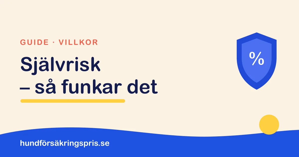 Illustration med sköld och procenttecken och texten Självrisk – så funkar det