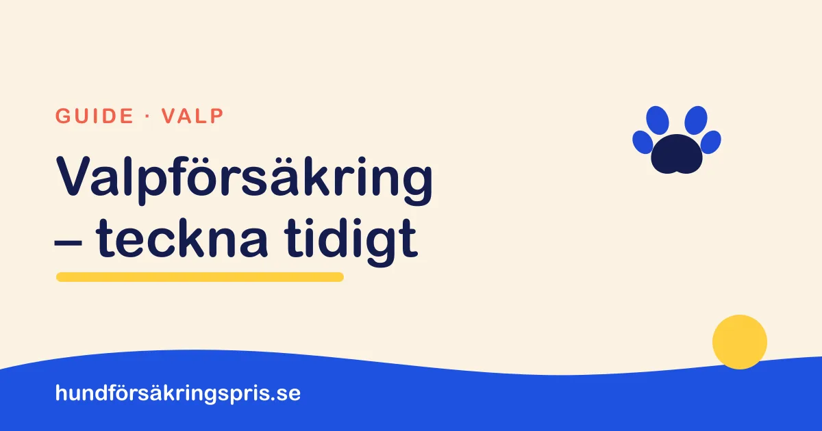 Illustration med tassavtryck och texten Valpförsäkring – teckna tidigt